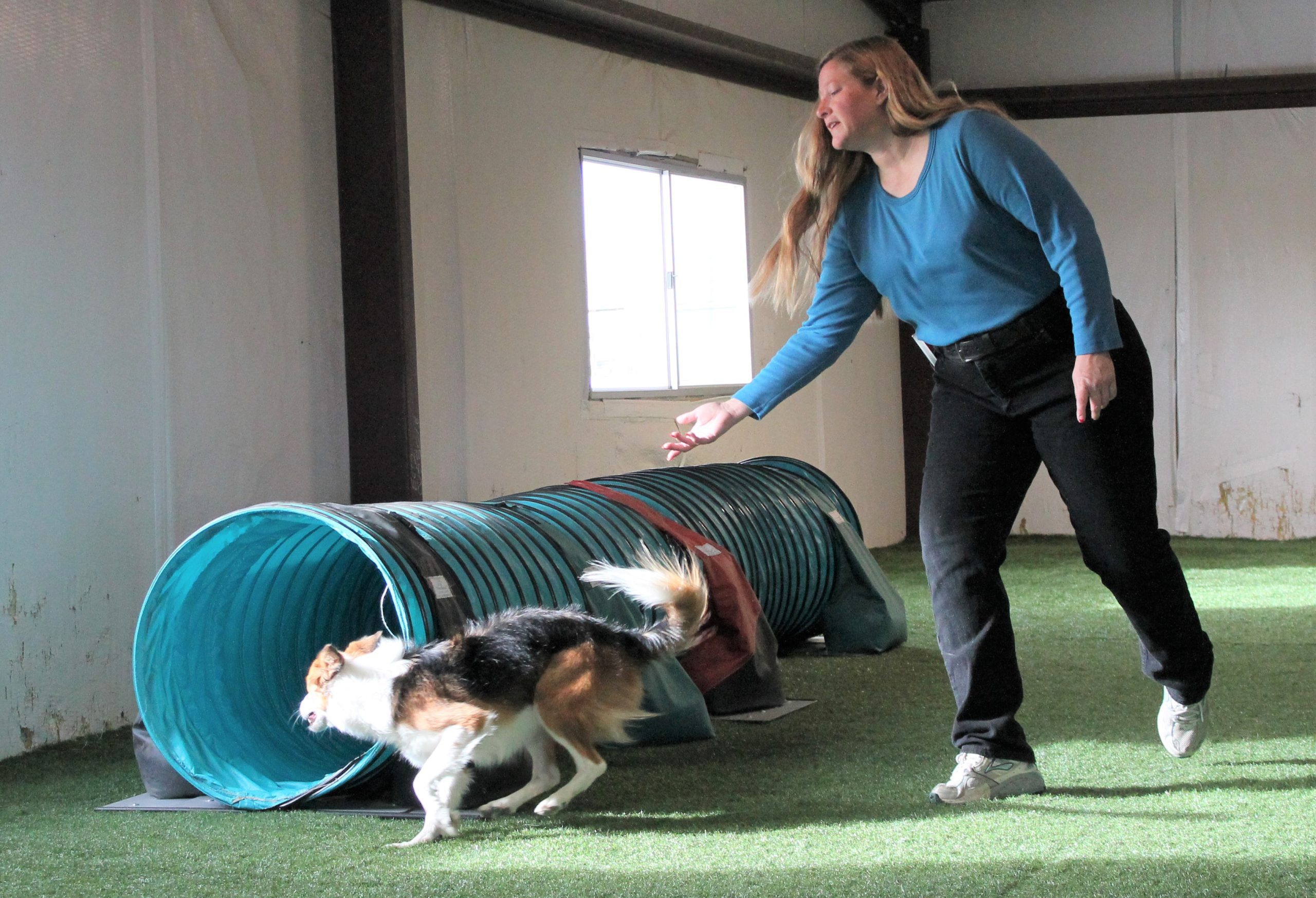 Build Confidence and Push Your Dog Training Limits