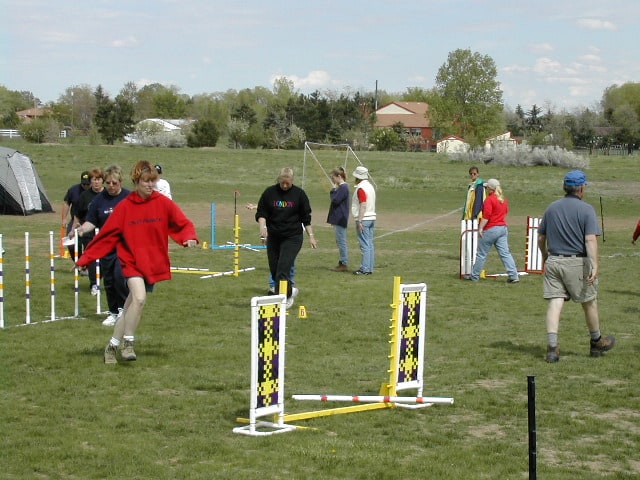 Dog agility handlers walking the course