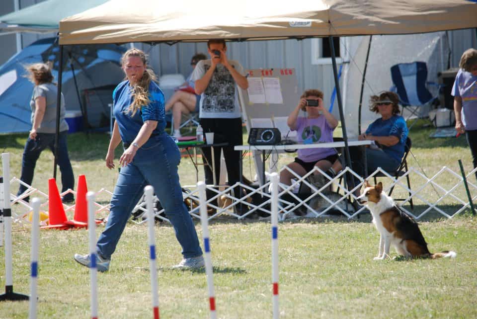 Set Your Dog Up for Success at the Start Line