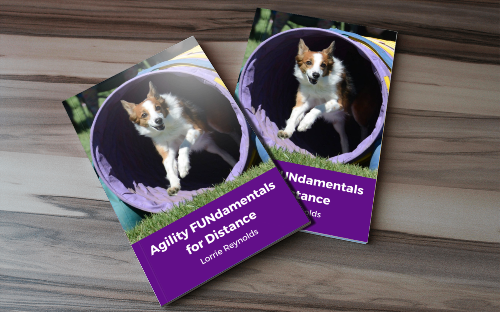 Agility FUNdamentals for Distance books on a table