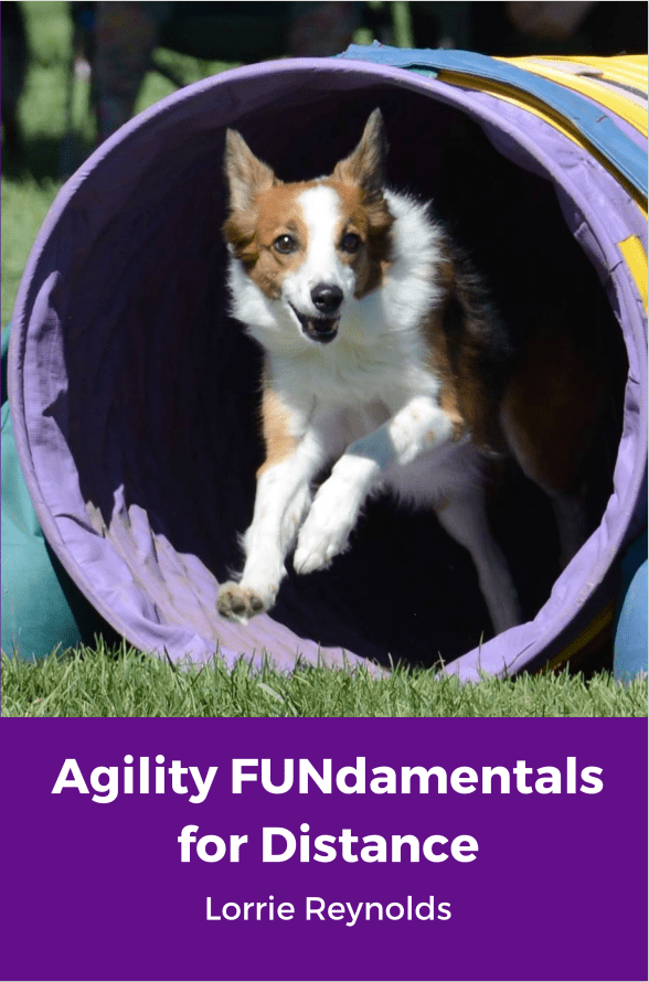 Agility FUNdamentals for Distance front cover