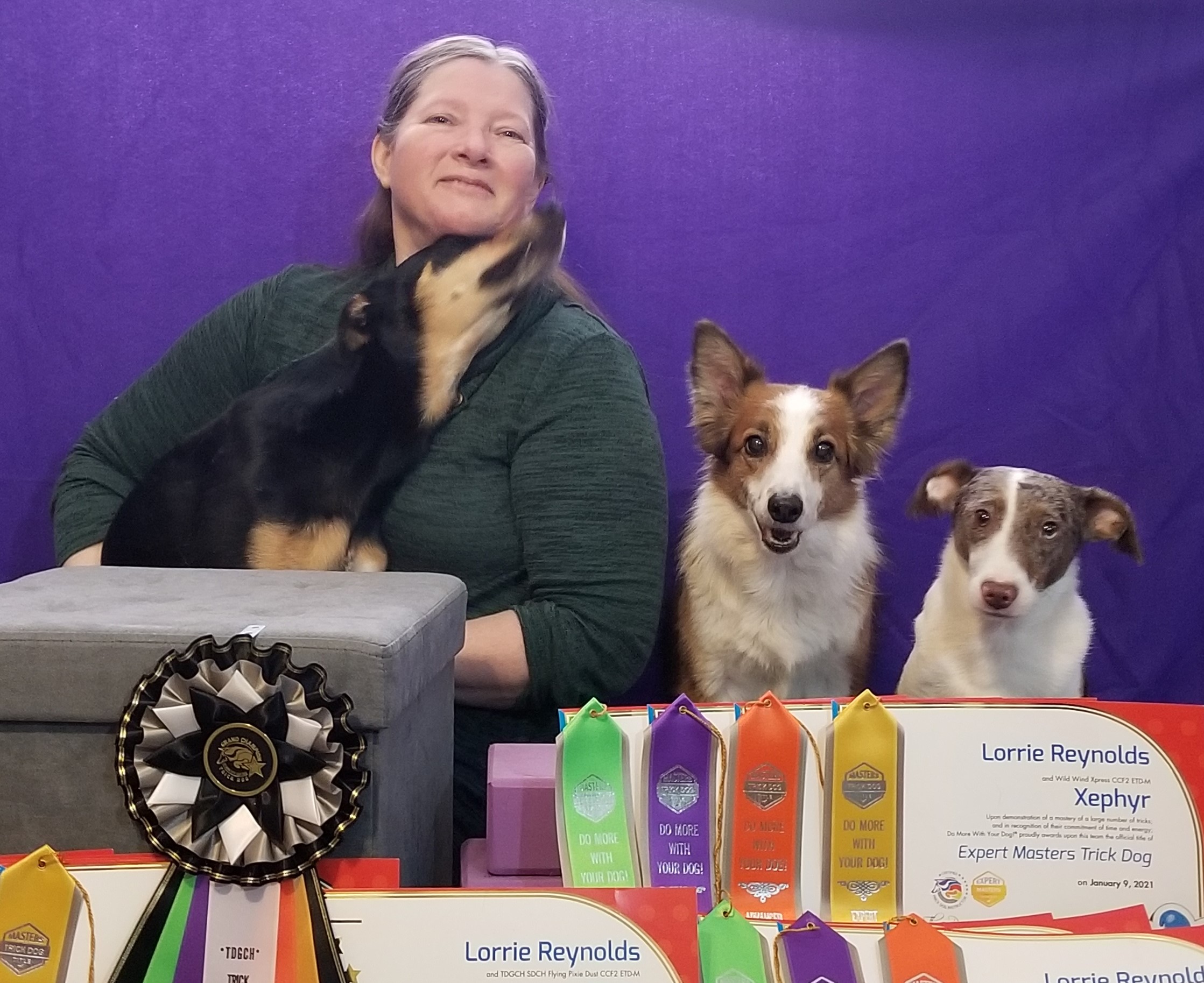 Dogs with trick titles and their owner