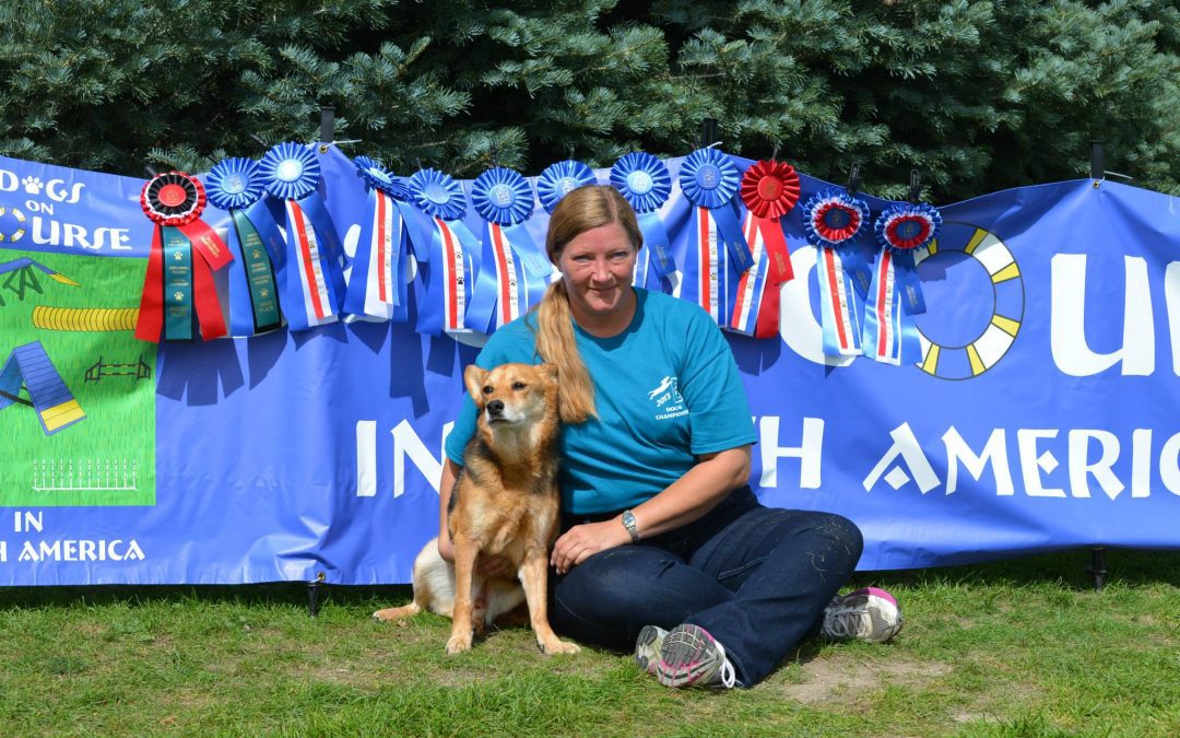 Benefits of Training for Dog Sports