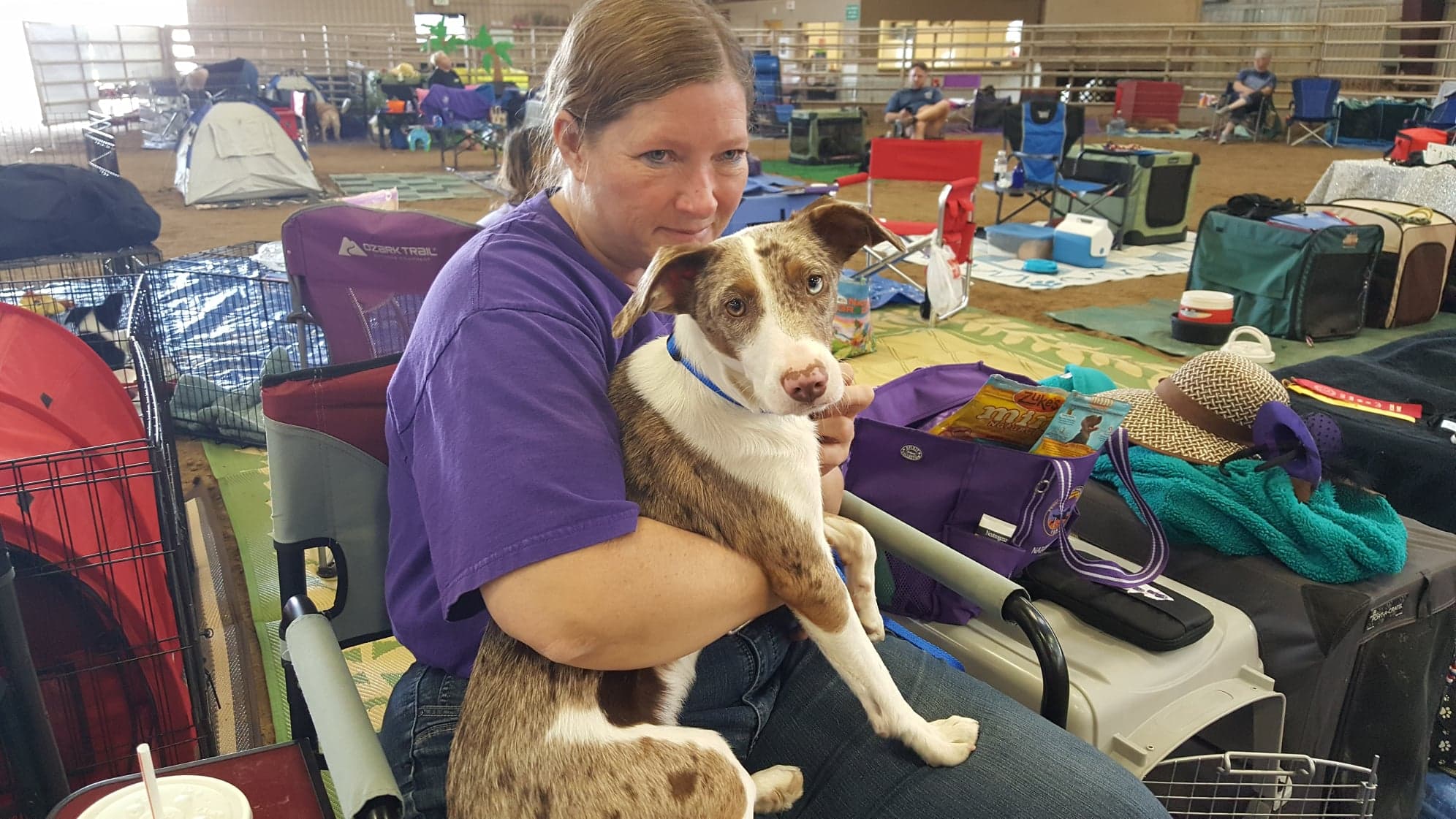 Trick dog sitting on owner's lap