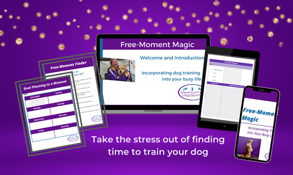 Free-Moment Magic Course Materials