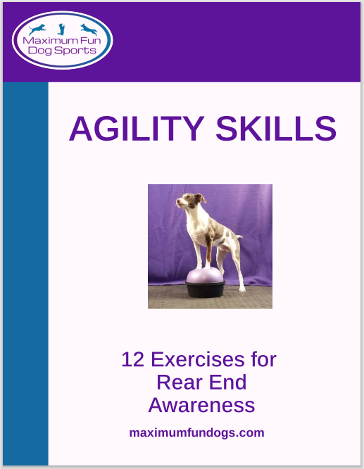 eBook cover for rear end awareness exercises