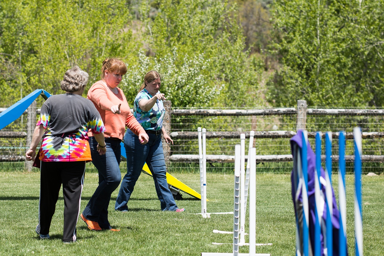 Instructor teaching a dog agility seminar