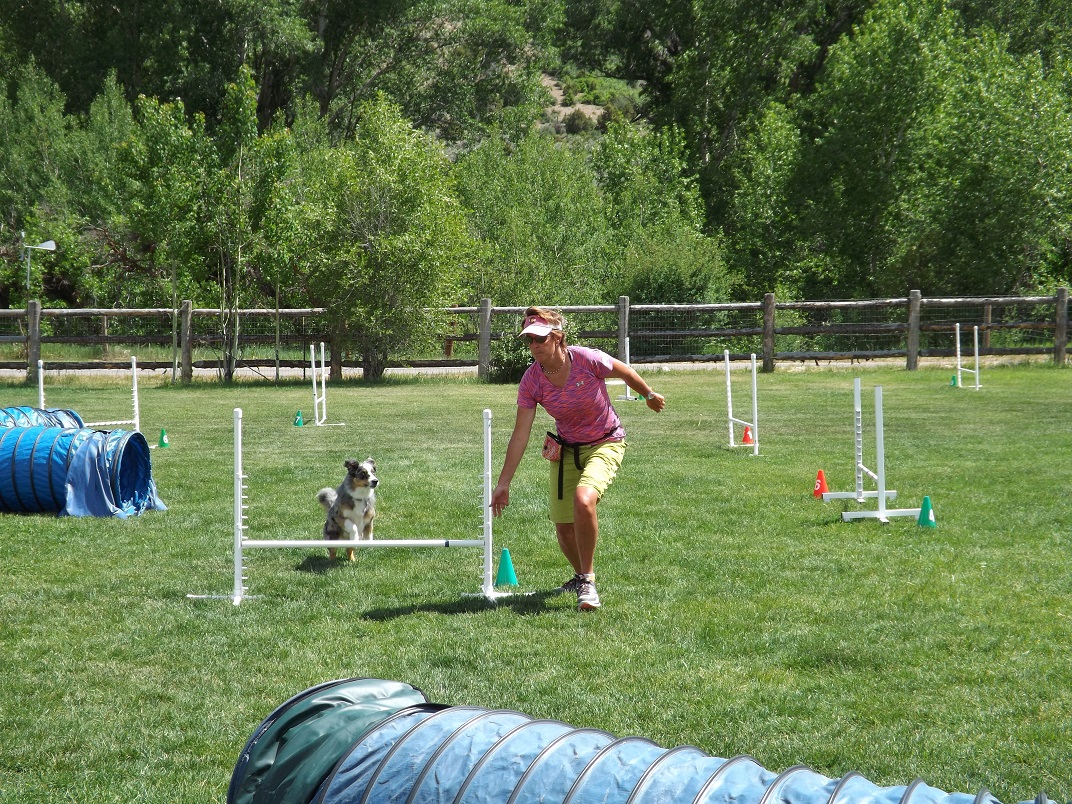 Agility handler running next to a dog over a jump