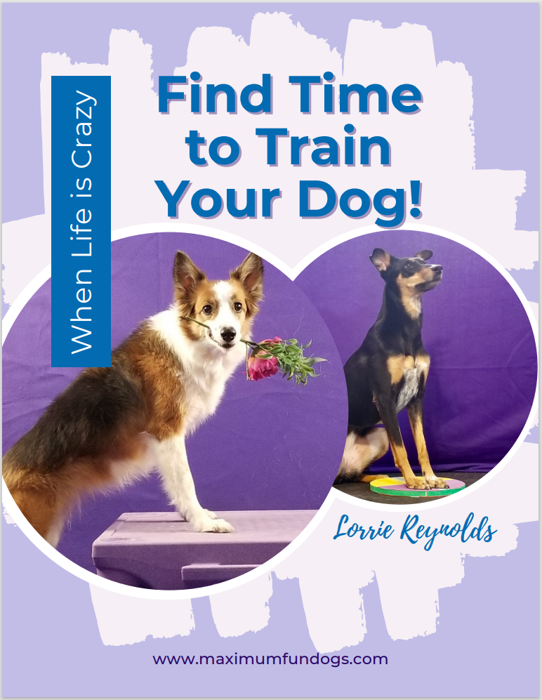 eBook Cover Find Time To Train Your Dog