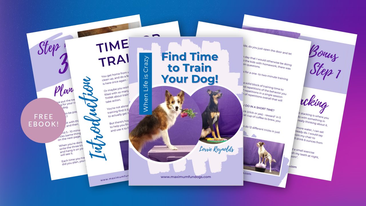 eBook Find Time to Train