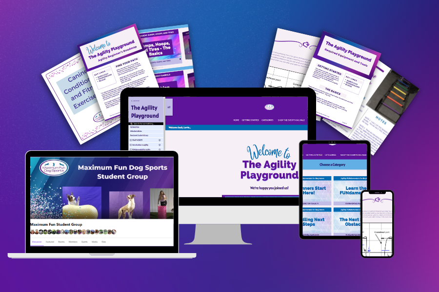 The Agility Playground Overview