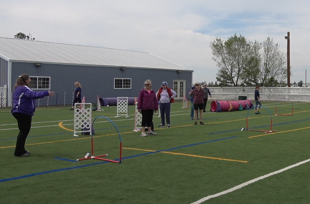 Demonstration at a dog agility seminar