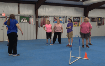 Five Ways to Crush It at Your Next Dog Agility Seminar