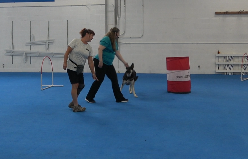 Dog agility instructor helping a student